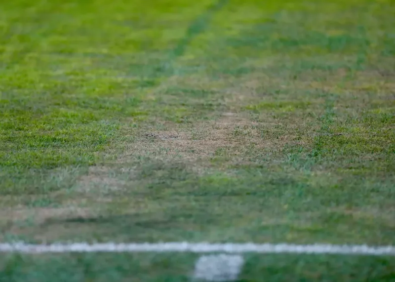 واقعیت تلخ در مورد چمن جنجالی یادگار!