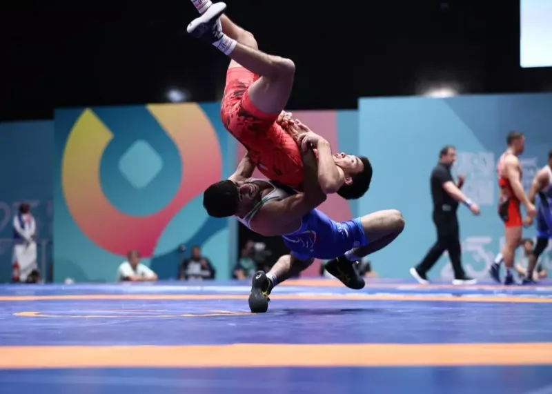 سه طلا در انتظار فرنگی کاران ایرانی 