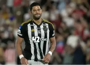 سقوط هالک: جام قهرمانی به آرژانتین رفت