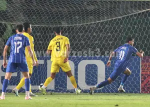 سورپرایز شیرین ساپینتو گل کاشت