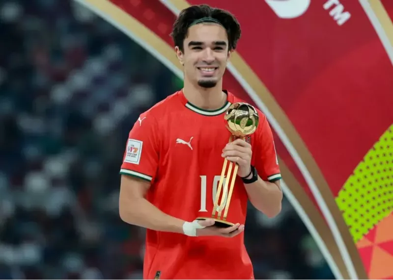 پرتغال جوایز جام جهانی را درو کرد