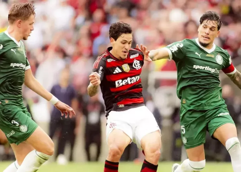 فینال داغ لیبرتادورس: نبرد تاریخی دو غول برزیل