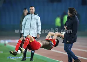 تفریح عصرگاهی ساپینتو با منجنیق! (عکس)