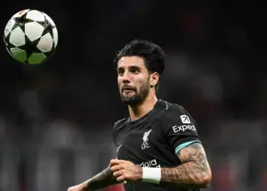 سوبوسلای: نمیدانم چه بلایی سر ما آمده است!