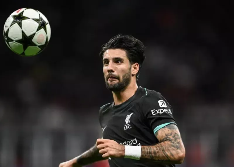 سوبوسلای: نمیدانم چه بلایی سر ما آمده است!