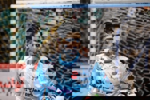 اختصاصی: تکذیب مذاکره گلر ملی‌پوش با استقلال