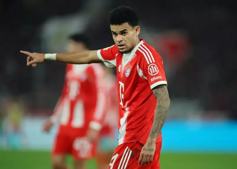 ebmoffln9.webp?w=800