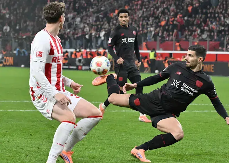 زیباترین گل سال زده شد و تمام!