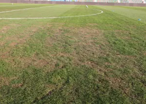 کنایه آلومینیوم به زمین میزبانی پرسپولیس!