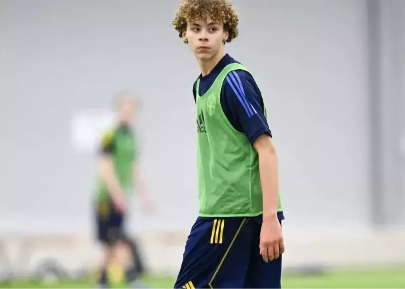 یک پسر دیگر زلاتان رسما بازیکن میلان شد