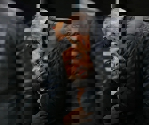 شفاف‌سازی اخباری: حرف من و یحیی خصوصی بود