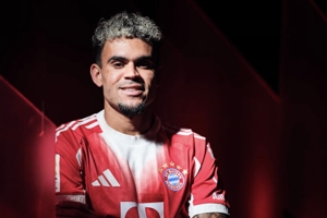 هرج و مرجِ دوستداشتنی: ونسان درست میگوید!