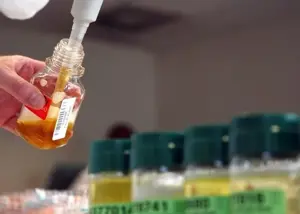 هشدار جدی فدراسیون به مدعیان کشتی آزاد