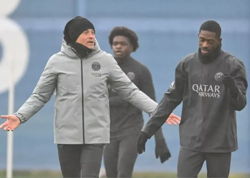 cqdy0cyf3.webp?w=800