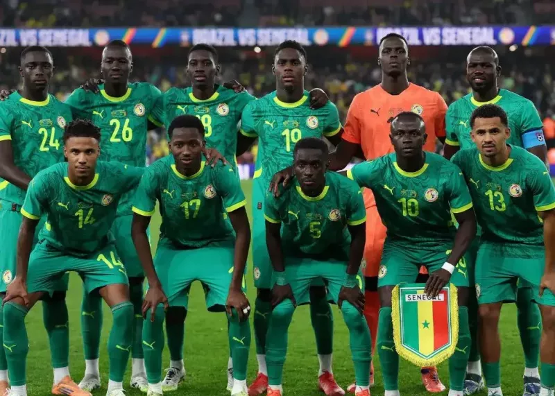 پارادوکس عجیب: قربانی سنگال رکوردشکن شد!