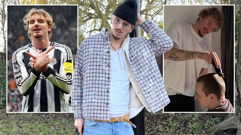 راز وولتماده: زندگی در خانه تیمی در نیوکسل!