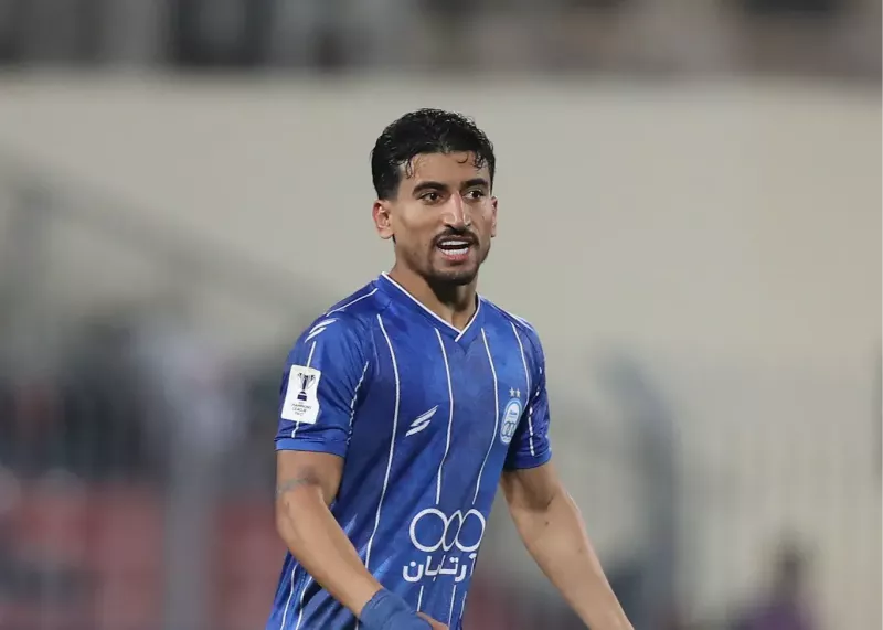 qoj5qrw31.webp?w=800