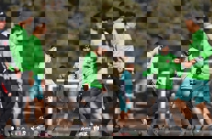 دو غایب پرسپولیس برای دیدار فجرسپاسی