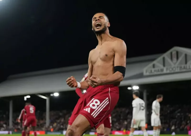 خشم خاکپو: من ناامیدم!