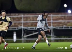 بیفوما: تا به حال چنین چیزی ندیده بودم!