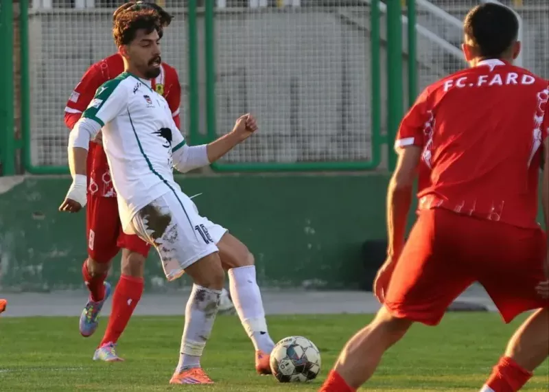 xmcihkok9.webp?w=800