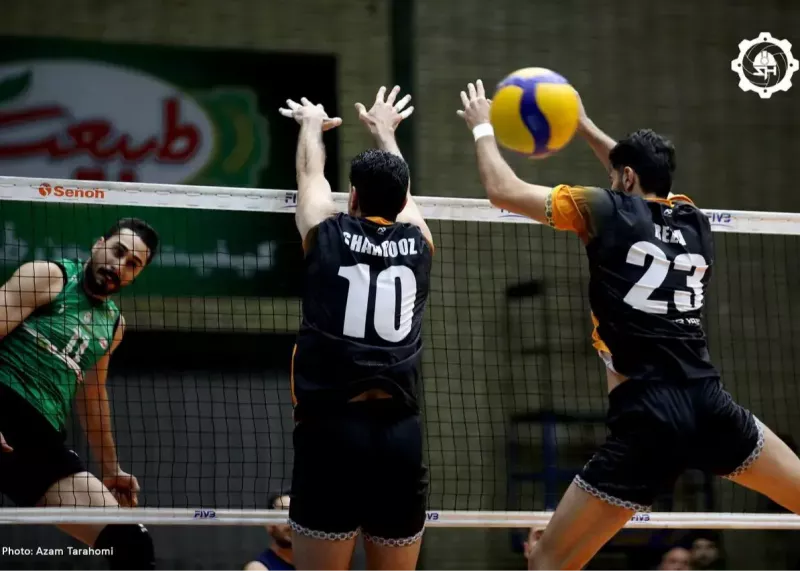 پدیده‌ای که پاسخ اعتماد مهدی مهدوی را داد 