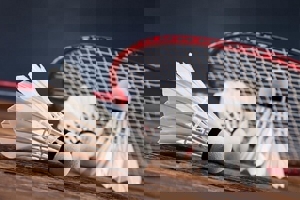 شرط حضور ملیپوشان بدمینتون در بازیهای آسیایی