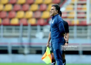 وحید رضایی و بزرگترین سودآوری تاریخ قزوین