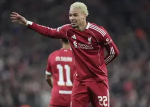 حالا نوبت ویرتز است لطف من را جبران کند!