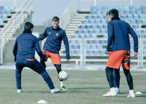 برگ برنده اسکو برای فراموشی آلوز