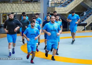 ستاره ها در تهران، 16 فرنگی کار در راه کرواسی