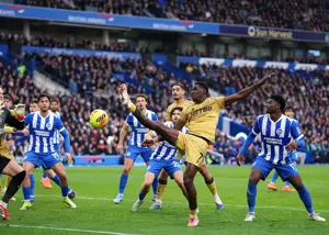 پیروزی مهم پالاس در خانه مرغ‌های دریایی