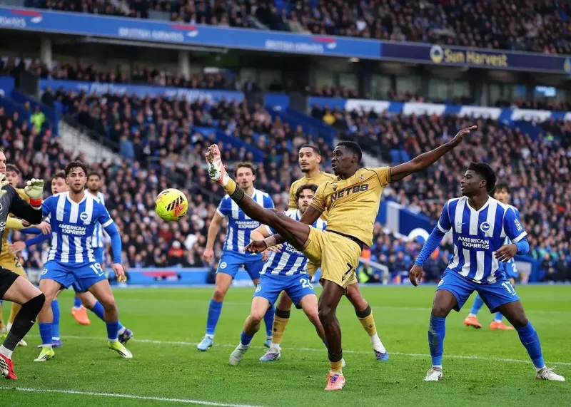 پیروزی مهم پالاس در خانه مرغ‌های دریایی