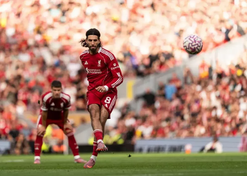 بهترین کاشته زن جهان تعلق می‌گیرد به ...!