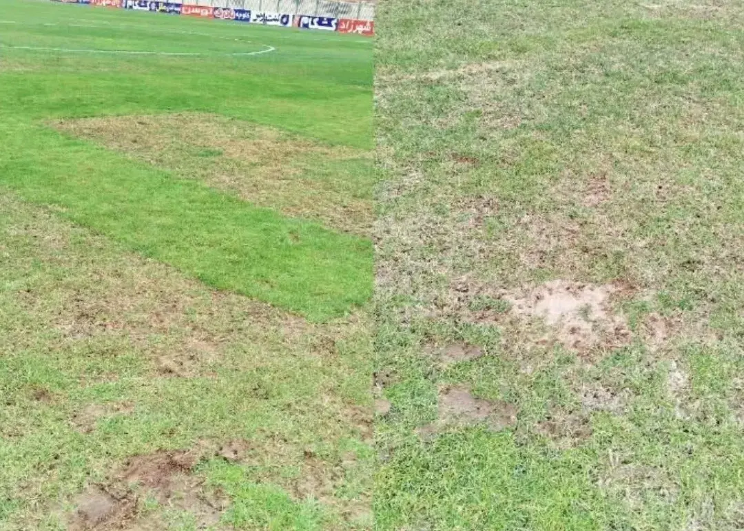 چمن تختی بعد از باران: شبیه به پارک!(عکس)