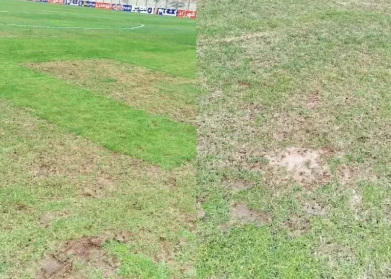 چمن تختی بعد از باران: شبیه به پارک!(عکس)