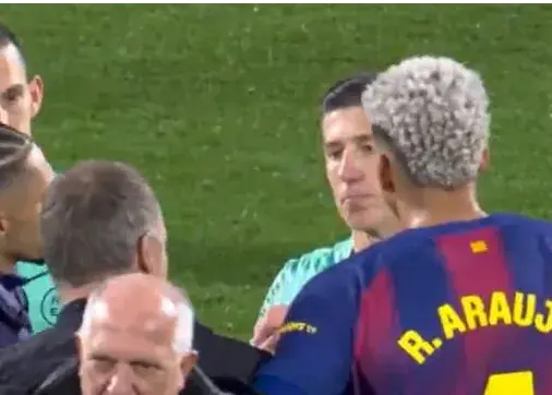 رافینیا، آرائوخو و فلیک سر داور خراب شدند!