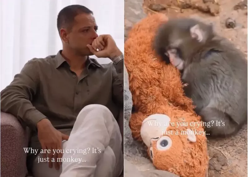 اشک‌های ستاره سابق رئال برای بچه میمون معروف