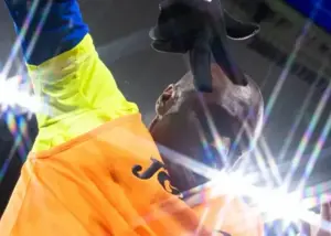 کنایه سنگین ختافه به وینیسیوس در شبکه‌های اجتماعی