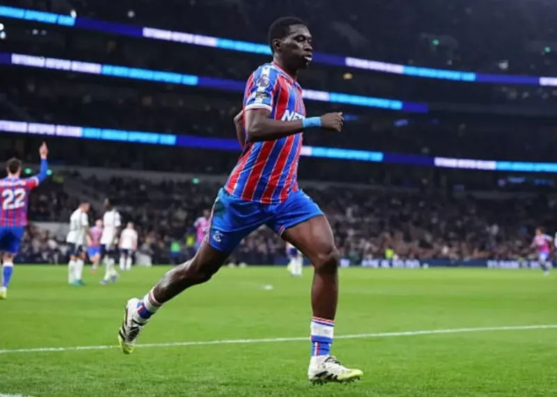 تاتنهام ۱-۳ پالاس | اسپرز نزدیک‌تر به سقوط!