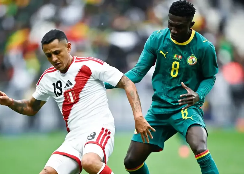 ستاره سنگال: کل دنیا می‌داند ما قهرمان آفریقاییم!