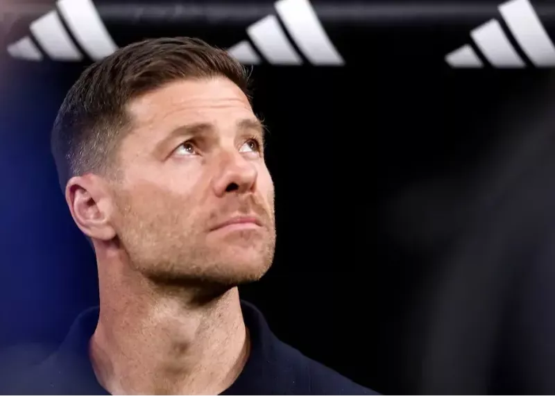 بازگشت ژابی: شمارش معکوس شروع شد