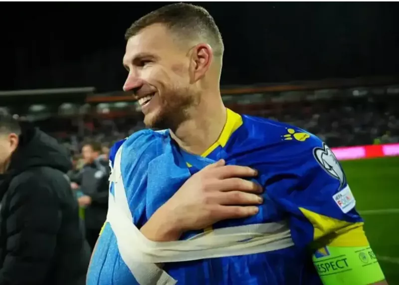 مصدومیت جدی ژکو در شب صعود رویایی بوسنی