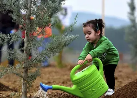 لیست بوستانهای تهران برای کاشت نهال رایگان