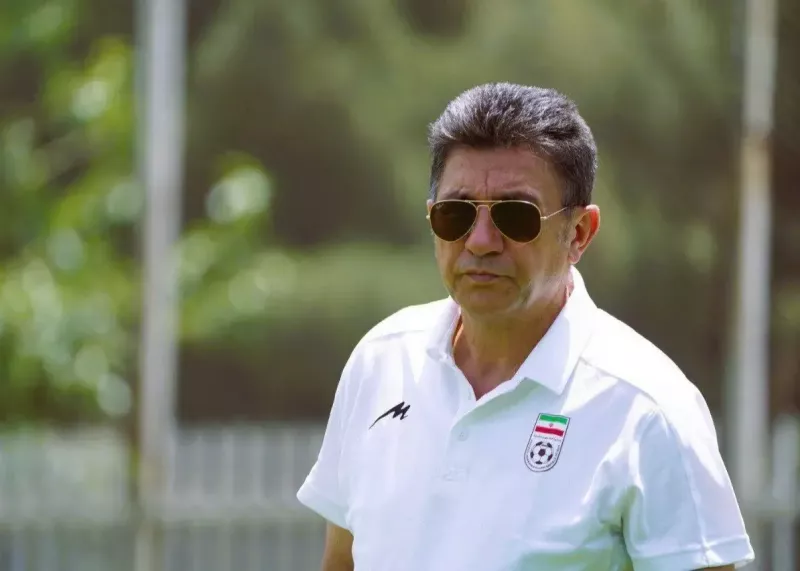 به غریزه قلعهنویی اعتماد کنید!