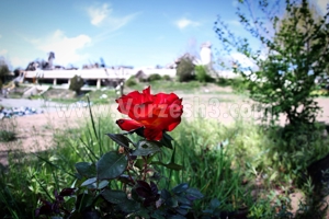 ورزشگاه آزادی - بیست و دوم فروردین (عکس)