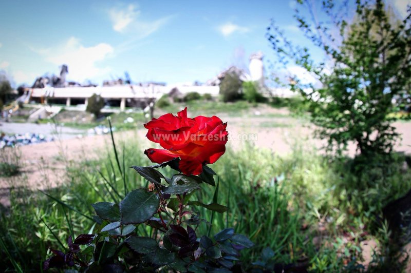 ورزشگاه آزادی - بیست و دوم فروردین (عکس)