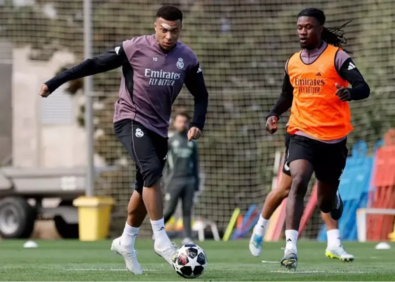 لاک‌پشت نینجا بدون نقاب در مونیخ!