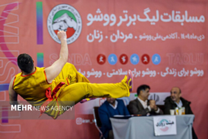 زمان برگزاری رقابت‌های انتخابی تیم‌های ملی ووشو ایران 