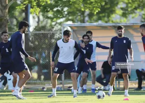 حمایت فولاد از قلعه‌نویی و تیم ملی